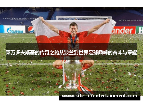 莱万多夫斯基的传奇之路从波兰到世界足球巅峰的奋斗与荣耀