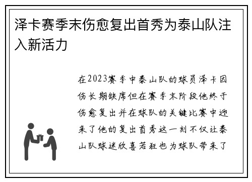 泽卡赛季末伤愈复出首秀为泰山队注入新活力